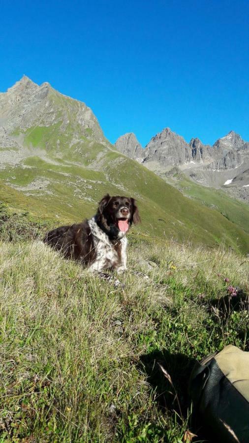 apart.pitztal Arzl im Pitztal Exterior foto